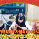 기타,숟가락난타 이미지