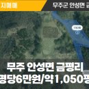 마니공인중개사사무소 이미지