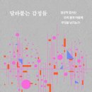 일상적 참사는 우리 몸과 마음에 무엇을 남기는가 | 달라붙는 감정들 (2024) - 일상적 참사는 우리 몸과 마음에 무엇을 남기는가