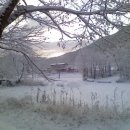 죽관메원 이미지