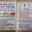 잇몸건강을 위한 치약칫솔 : 특허출원한 순천당생활건강 제품 후기
