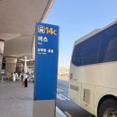 네스트 호텔 | 인천호텔 영종도 네스트호텔 호캉스 후기