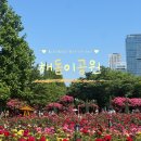 [송도] 주말 서울근교 나들이 송도 해돋이공원 장미축제 미로장미원, 해돋이장미원 후기 🥀🤍