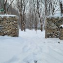 살롱 드 방동 이미지