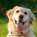 서정동물병원 이미지