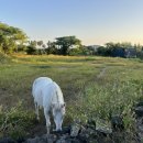 서귀포농업협동조합법환지점 이미지