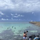 월령리(월령포구) | 제주도 월령포구 스노쿨링 후기 샤워 주차 장비 대여 화장실 안내