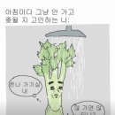 사랑한스푼