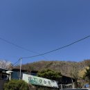 한결농장 | 벚꽃길 따라 다녀온 천개동농장 오리로스·오리탕 힐링 후기