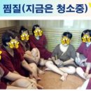 힐스템 찜질테라피 이미지