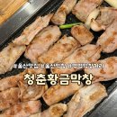황금막창 | 울산 병영막창거리 맛집 ‘청춘황금막창’, 인생 막창 찾은 후기