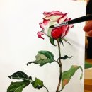 그림과사람들미술교습소
