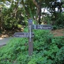 중앙타운 주변 이미지