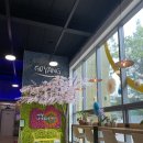 고양관광정보센터 미디어 창작실 이미지