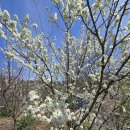 도열농장 이미지