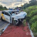 김유정로 이미지