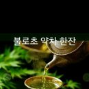 인셀덤 가연 네이버블로그