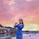 돌박사 Daum카페