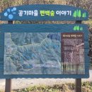 완주편백숲으로