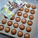 쥴리앤벨라 이미지