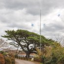 제주 올레길 16코스 이미지