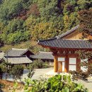 다대지구대 앞 이미지