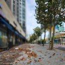 동대구신세계약국 이미지