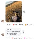 어나더핏 | 어나더오피스 해링턴 자켓 후기 | anotheroffice harrington jacket review