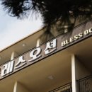 블레스오션 이미지