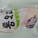 내일또오리 이미지