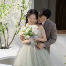 마리별 | 웨딩드레스 웨딩촬영 드레스 리안마리 유색드레스 등 종류 별 촬영 후기