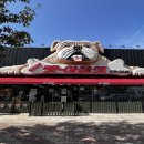 똥싼 강아지 펫아울렛 이미지