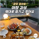 진등1길 | 광양 오맥 중마동술집 중마동호프 야장 감성 제대로 즐기고 왔어요