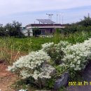 학산보건진료소 이미지