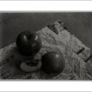 뮤지엄 한미 이미지