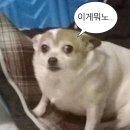 달달 콘서트 | 박효신 <LIVE A &amp; E 2026> 콘서트 막콘 후기