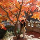 강천산(광주) 이미지