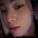 선우시트