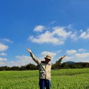 와흘메밀마을 이미지