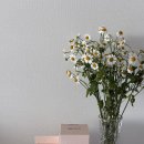 네츄럴핏 | 신생아 아기 젖병 추천│모브아 PPSU 젖병, 내추럴핏 젖꼭지 실사용 후기