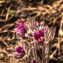 문산1리 이미지