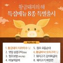 모이면돼지
