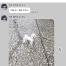 뽀송