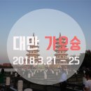 호스텔플레인