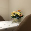 내 몸에 힐링요가 이미지