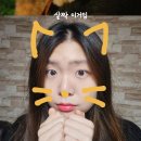 보보스 안경원 이미지