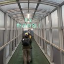 터미널 게임장 | 부산항에서 시노모세키로의 여행 및 하마유우 후기/시간, 팁,!