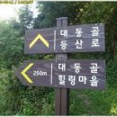 2020-주144 이미지