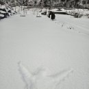 으뇽이네펜션 이미지