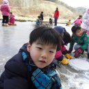 웅포농장 Daum카페